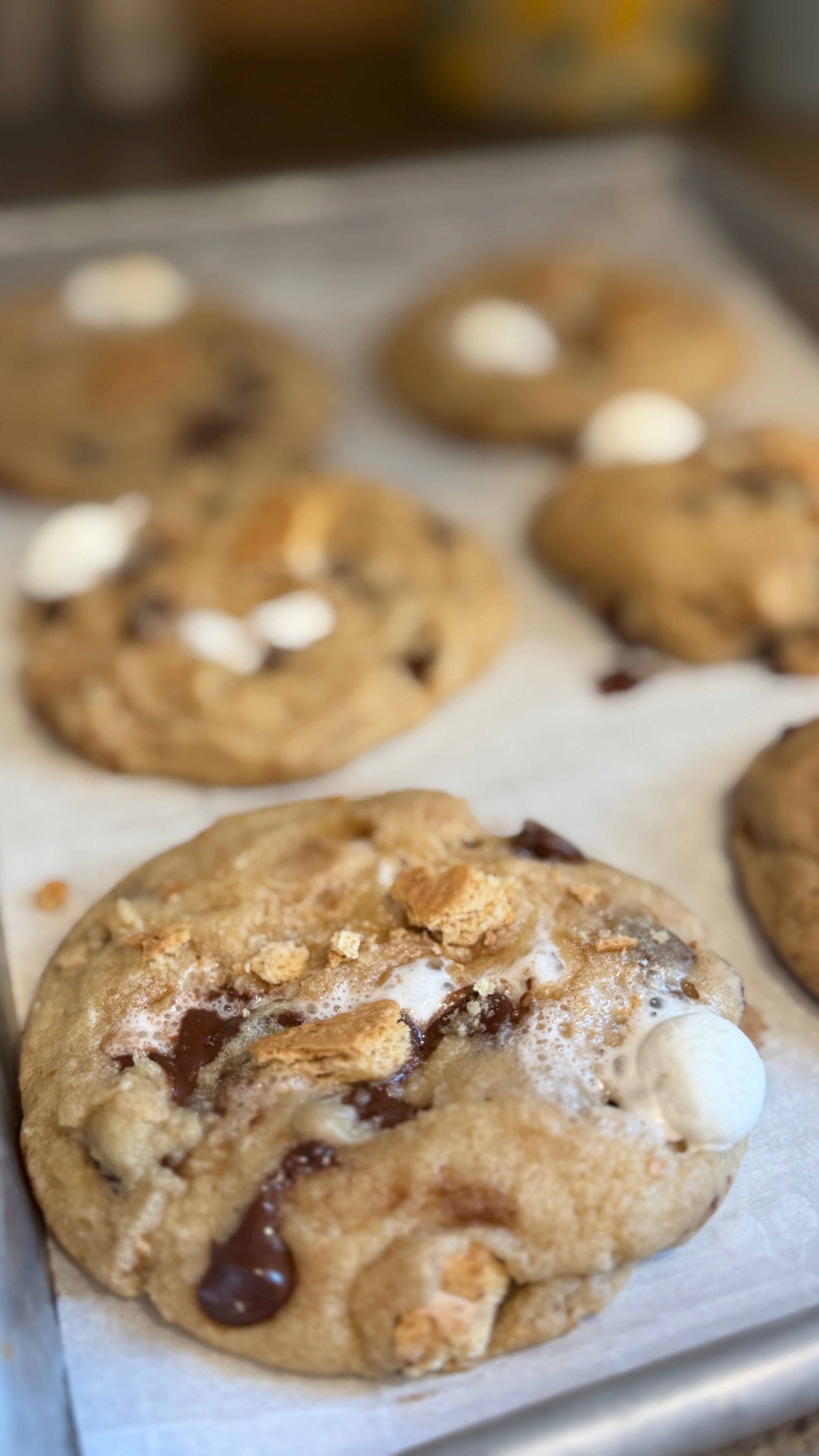 Campfire S'mores